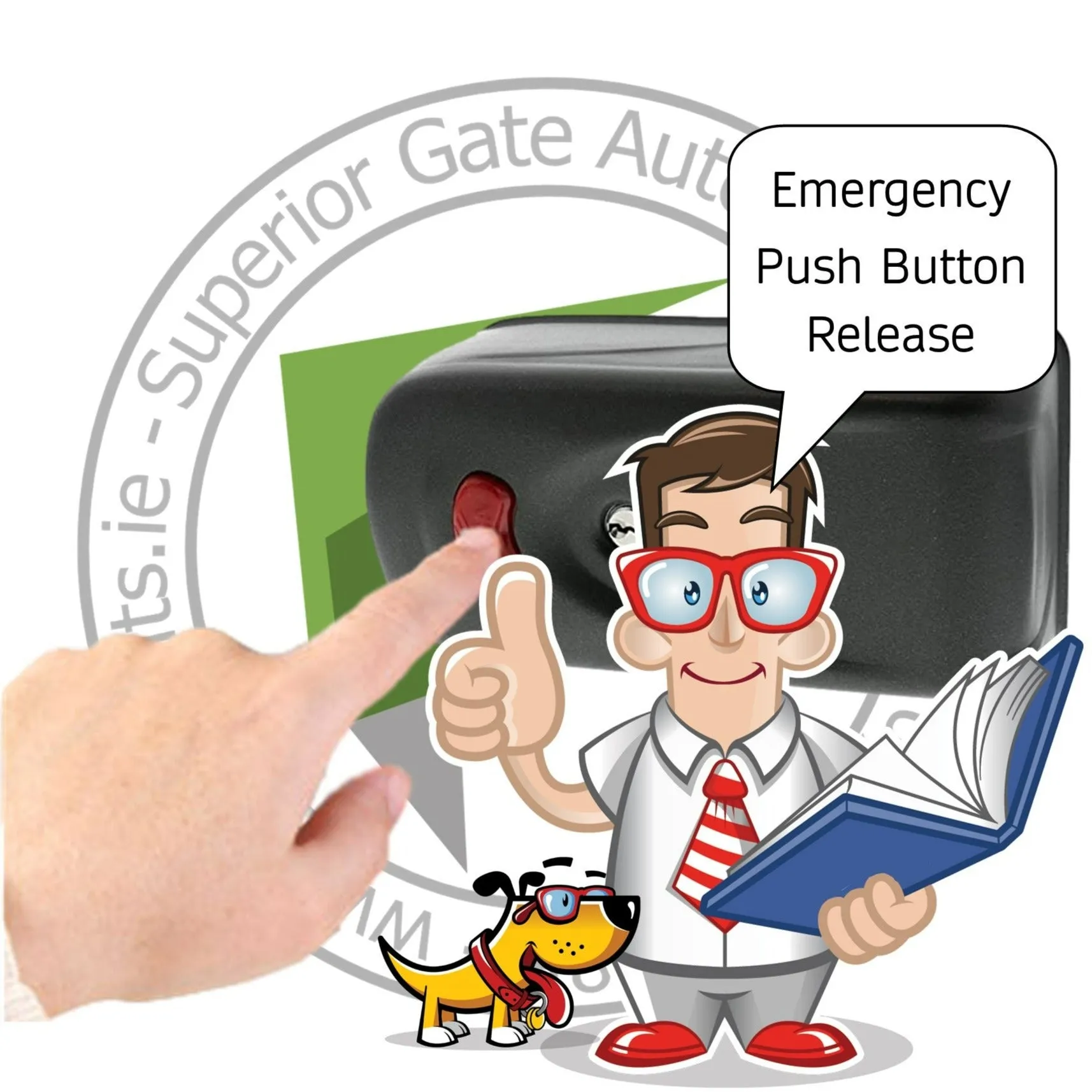 Cisa Electric Gate Lock